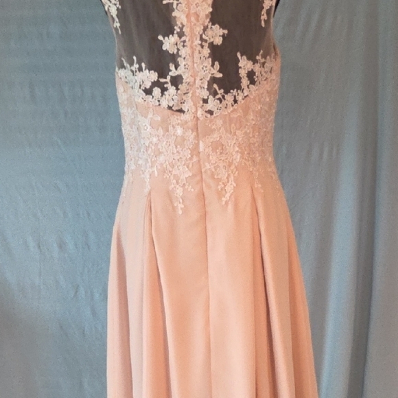 Elegant Lace Overlay Pink Dress - Picture 5 of 8